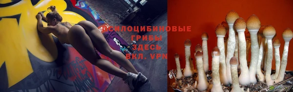 ешки Алексин