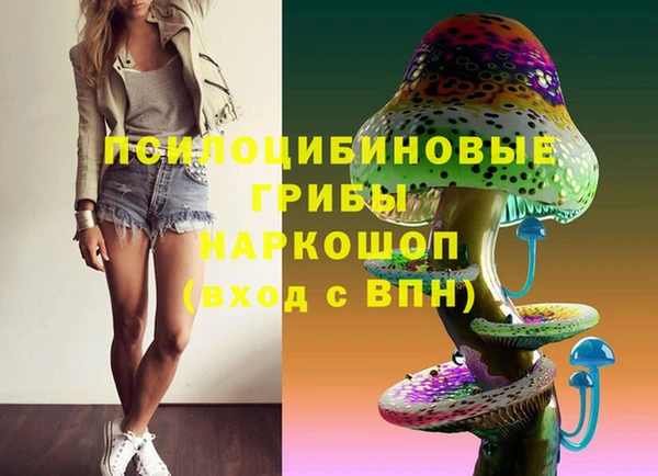твердый Алексеевка