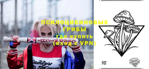 твердый Алексеевка