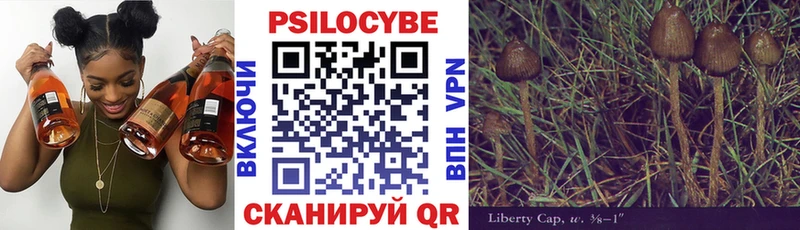 Псилоцибиновые грибы Psilocybe Крымск